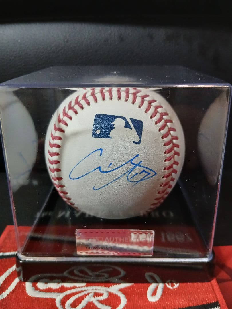 ケース付き 大谷翔平 山本由伸 佐々木朗希　直筆サインボール　ドジャース　3選手