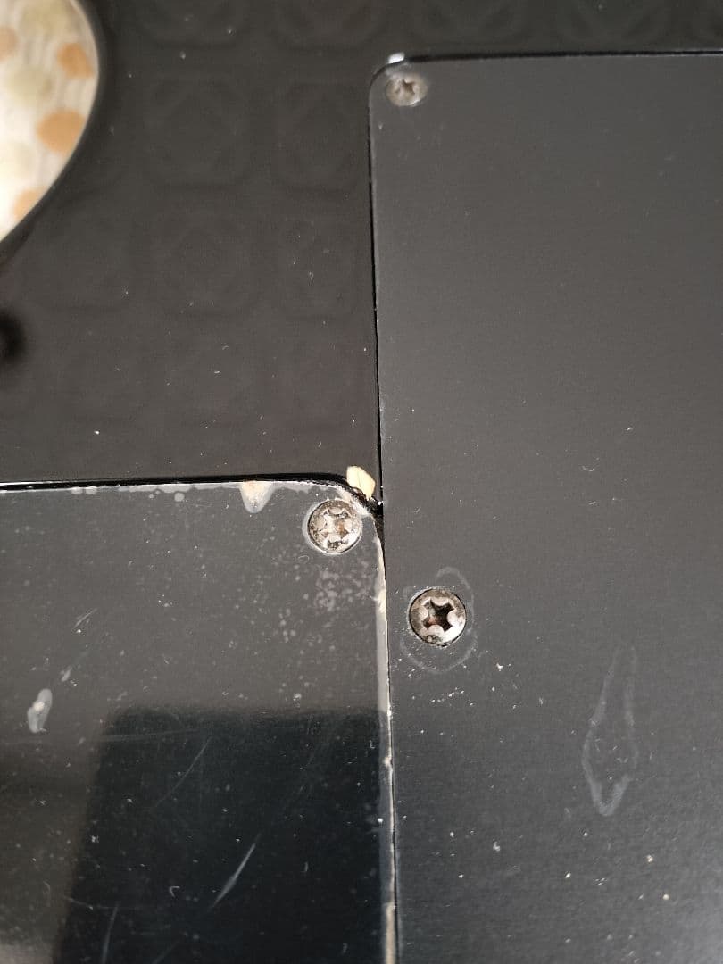 GrassRoots SUGIZO モデル  【改造あり】