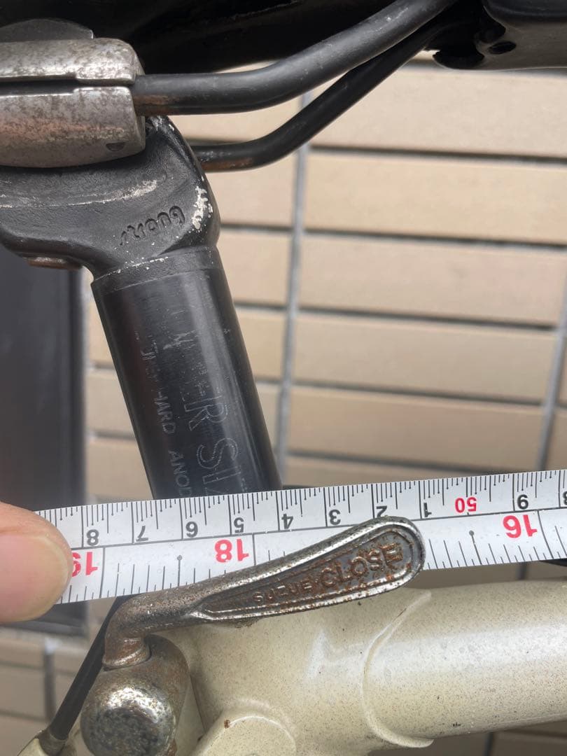 アラヤ　マディフォックス