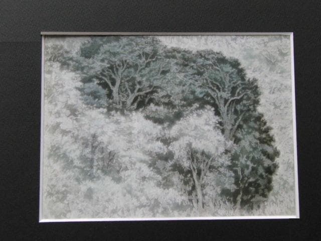 川崎鈴彦、【樹々】、希少な額装用画集画、新品高級額 額装付、状態良好