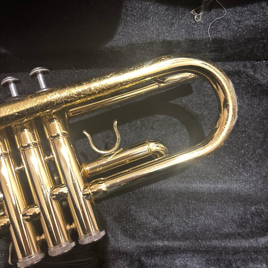 uoouwe トランペット マウスピース付き　専用ケース