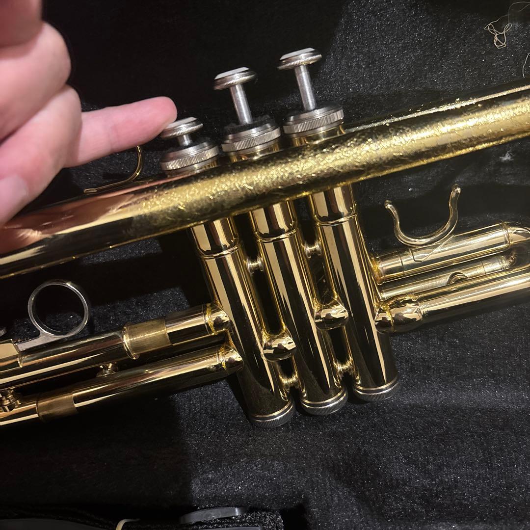 uoouwe トランペット マウスピース付き　専用ケース