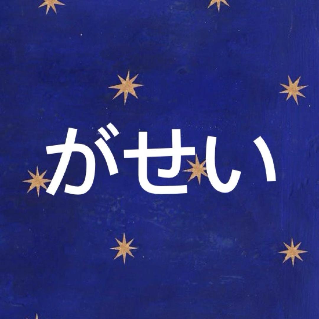 がせい　ライトグレーS