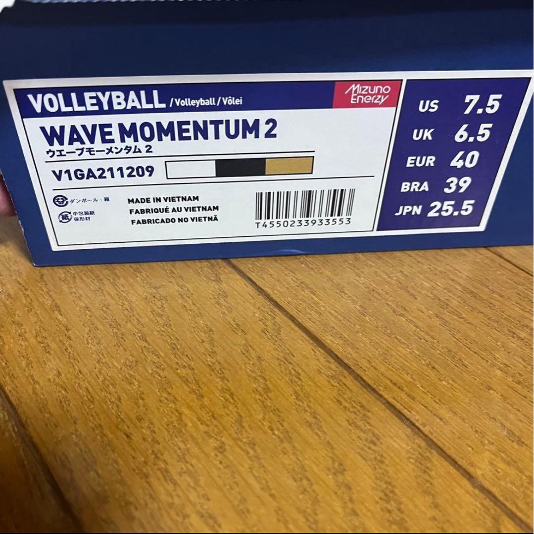 バレーボール　シューズ　バレーシューズ