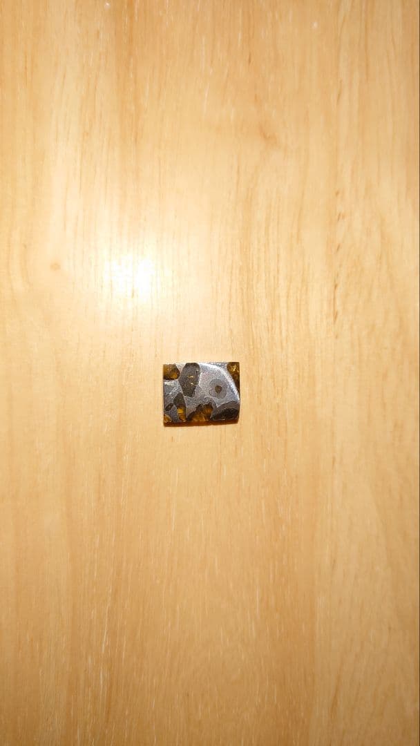 イミラック隕石　イミラック　隕石　パラサイト