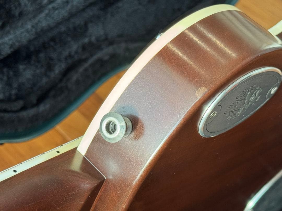 Zemaitis CS24PF RING CHESS エレキギター　ゼマイティス