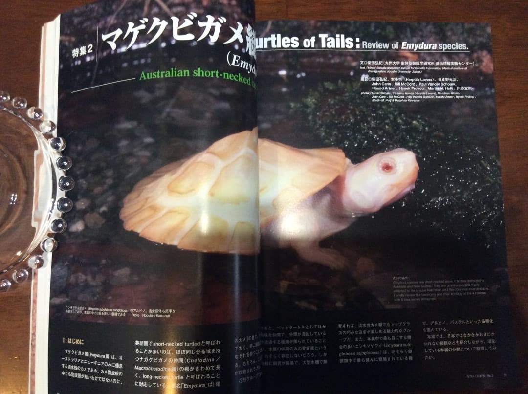 EXTRA CREEPER エクストラ・クリーパー 全4冊 誠文堂新光社