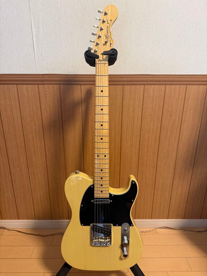 Momose MT2-STD/M BBD MOD テレキャスター MG-T