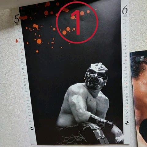 武藤敬司時代全日本プロレスグッズ+新日本プロレス1996/1・4東京ドームパンフ