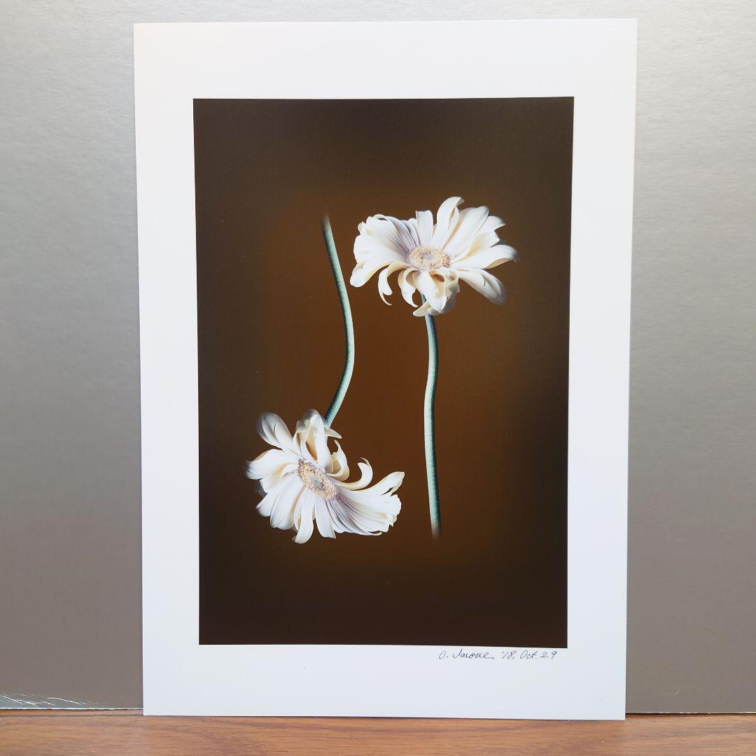 井上治（Osamu Inoue）4518＋4519　静物　フォトアート　作品