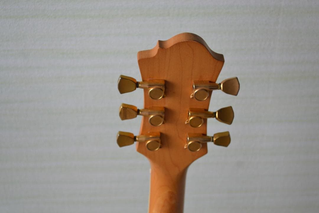 エレキギターモッキンバードモデル（ソフトケース付）音出し確認　Bロゴ