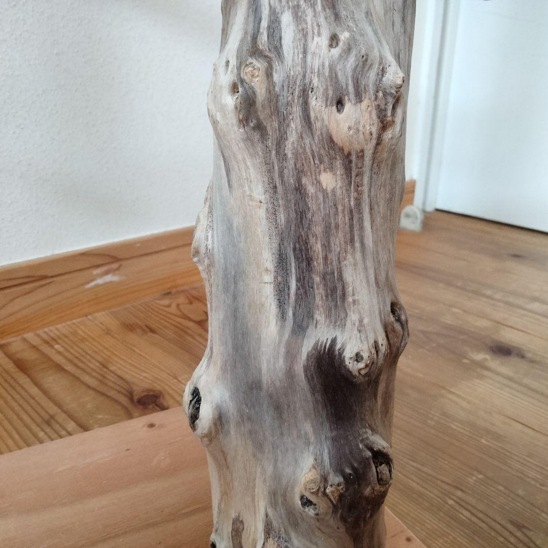 ocean バードアスレチックジム 天然木 自然木 流木 止まり木 インコ