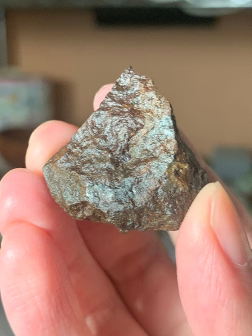 世界最古の石　46億年前の隕石コンドライト　太陽系最古の隕石　石質隕石　鉄隕石