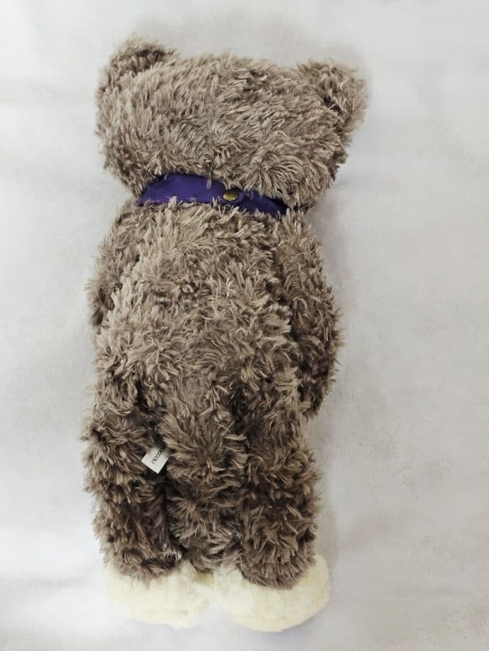 アメジス 骨組みなし 骨組あり 2点セット 鳳瑛二 うたプリ プリキャ