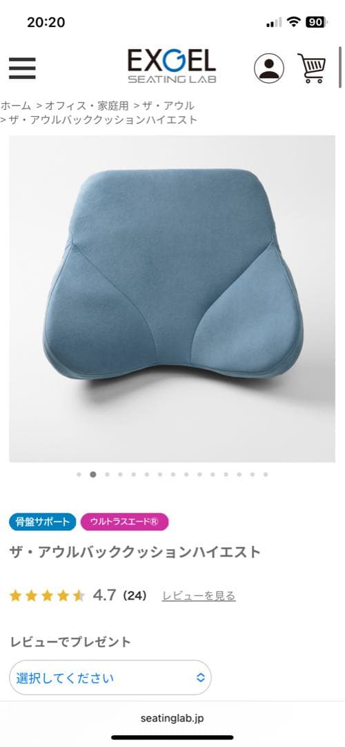 【中古】ザ・アウルバッククッション ハイエスト