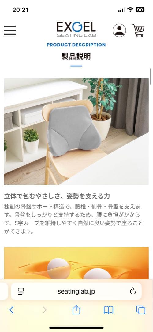 【中古】ザ・アウルバッククッション ハイエスト