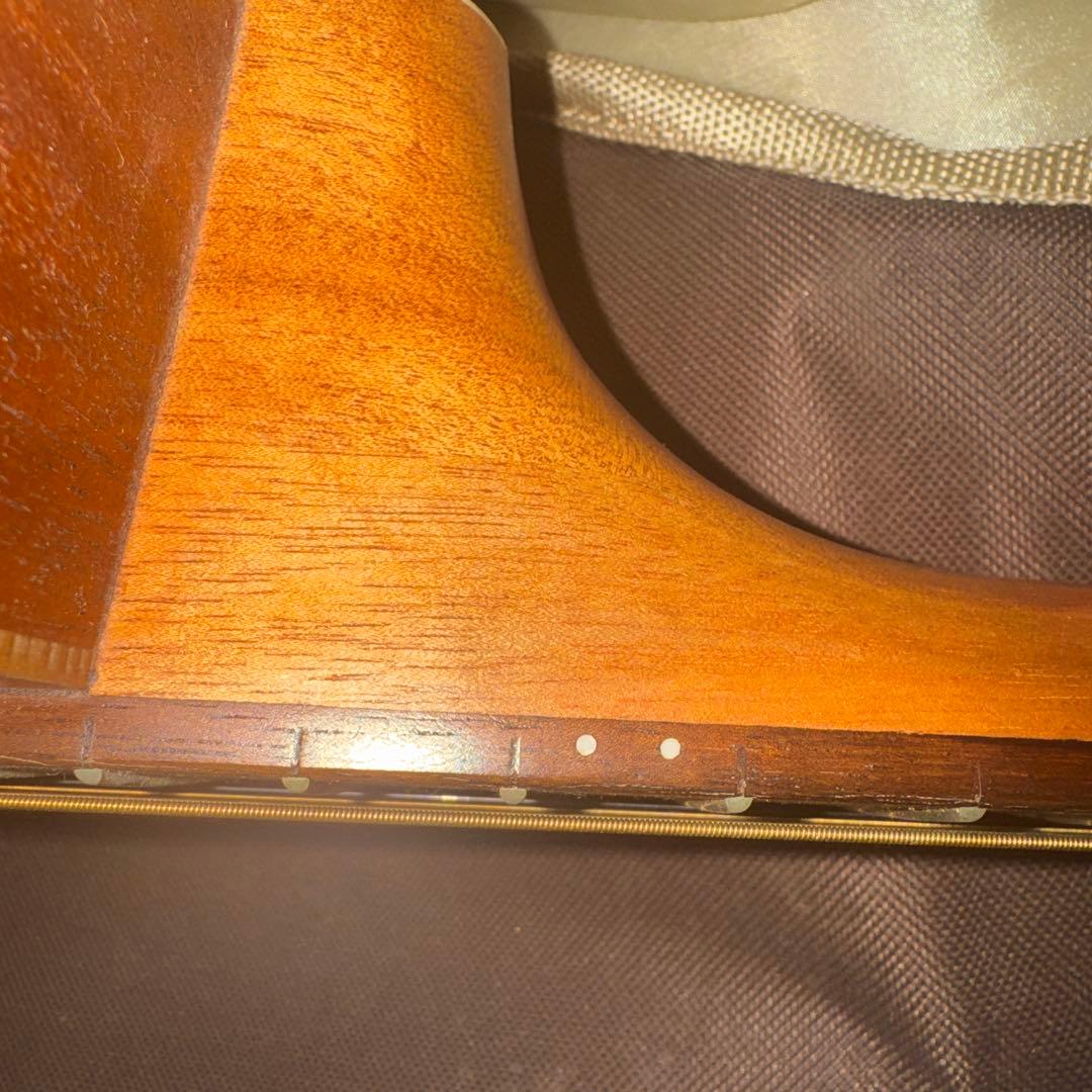 Cort Earth Mini OD アコースティックギター