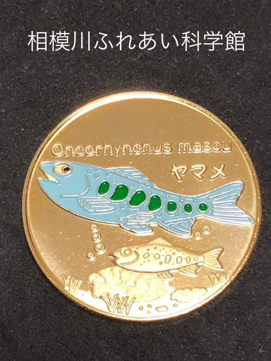 相模川ふれあい科学館★記念メダル☆茶平工業