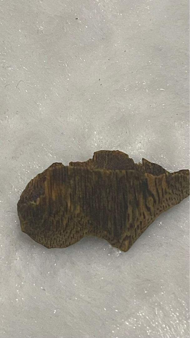 極上伽羅沈香原木香木高ランク水沈み5.2グラム