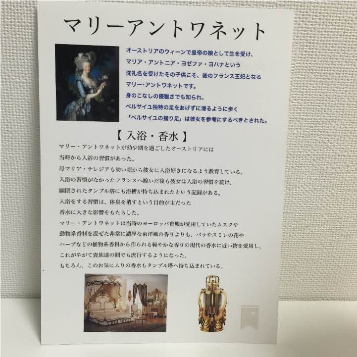 ♣︎LAMPE BERGERマリーアントワネット【正規品】