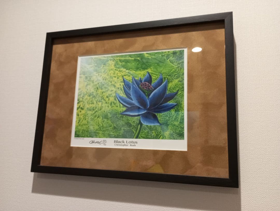Black Lotus アートプリント 額付き