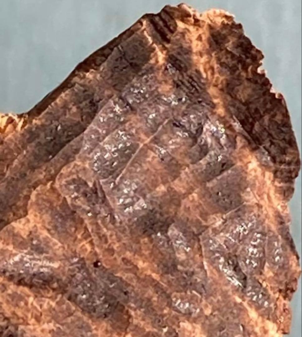 シャム　シャム沈香　沈香　天然沈香　香木 3.58g