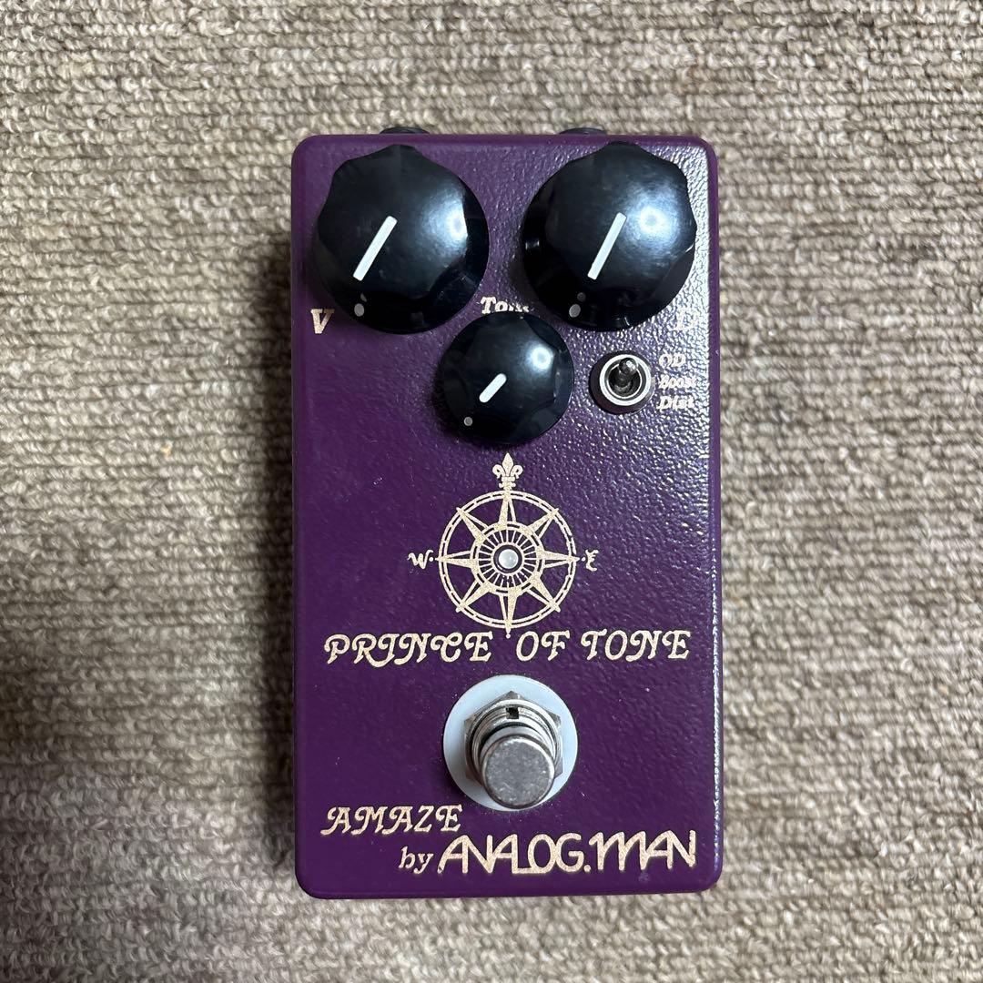 ギター analogman prince of tone