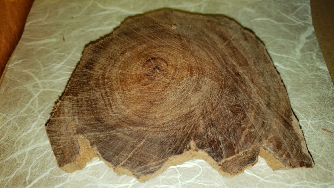 39 サンダルウッド・香木・聞香・香道「インド産 極上物 老山白檀53.4g」