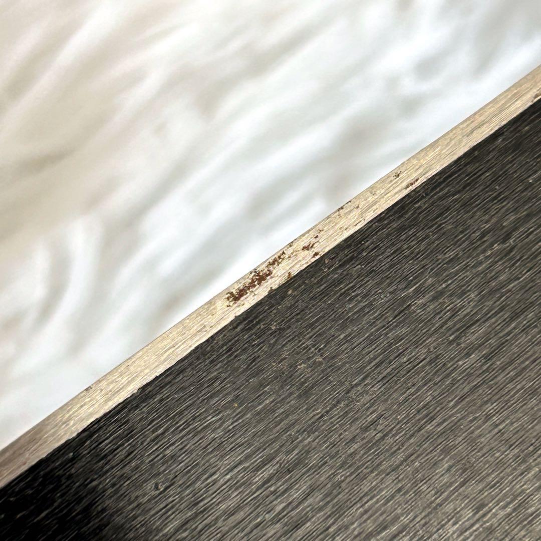 【極美品】SALOMON サロモン  Blede スノーブレード