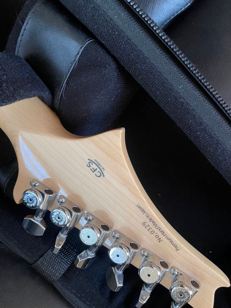 【激レア】G-Life Guitars DSG Classic ロイヤルブルー