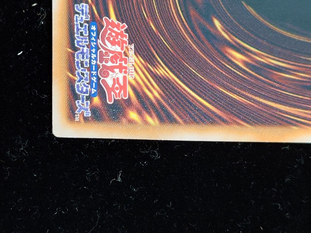 ブラック・ローズ・ドラゴン ホロ