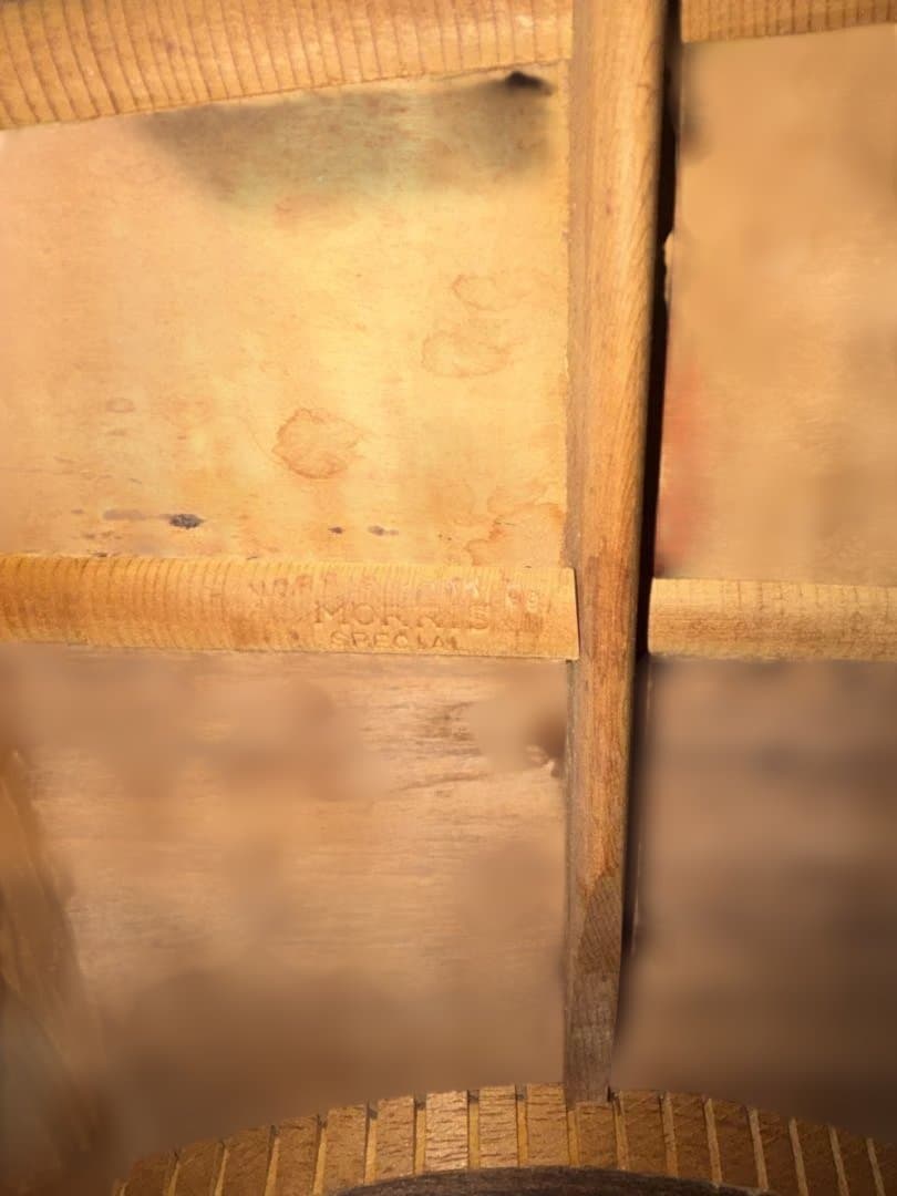 ジャパンヴィンテージMORRIS スペシャルW-50 sヤイリ製