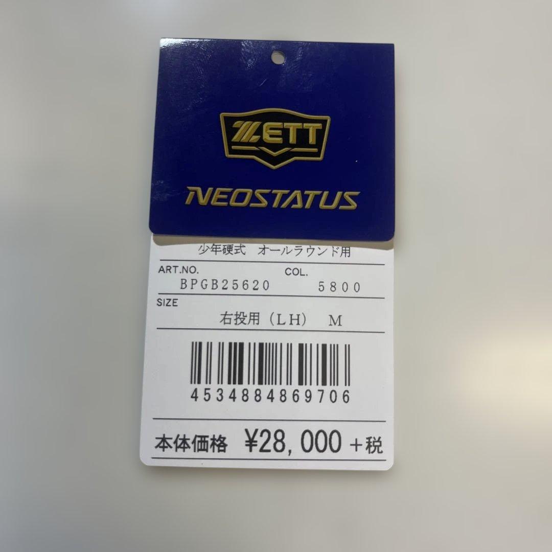 ZETT 硬式グローブ ジュニアサイズ　小学硬式　中学硬式