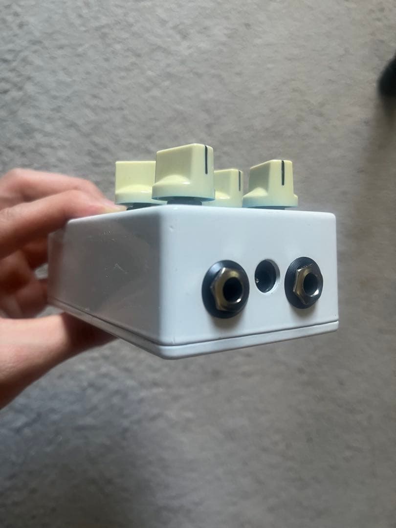 ギター Earthquaker devices dispatch master