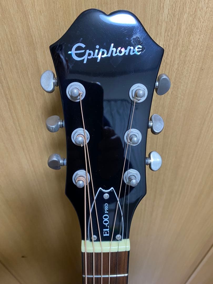 エピフォン Epiphone EL-00 PRO/VS