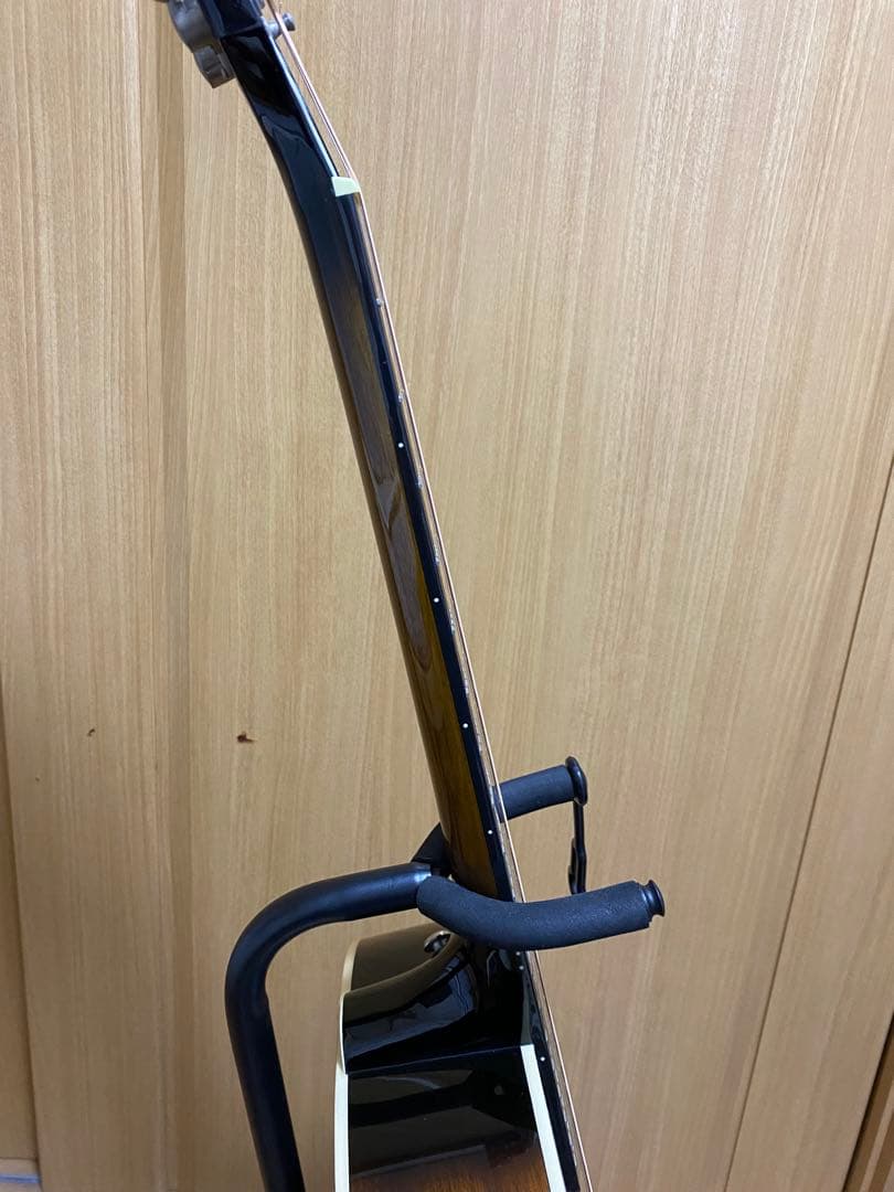 エピフォン Epiphone EL-00 PRO/VS