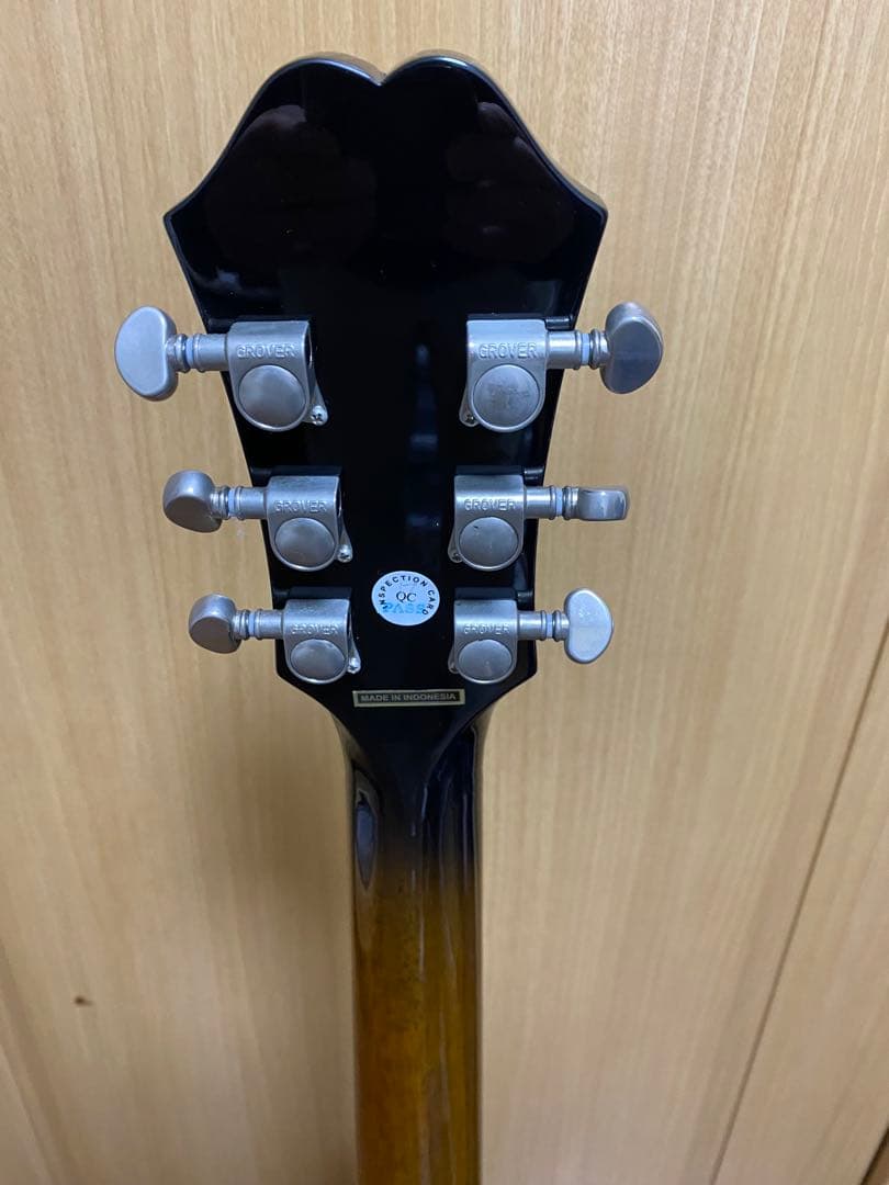 エピフォン Epiphone EL-00 PRO/VS