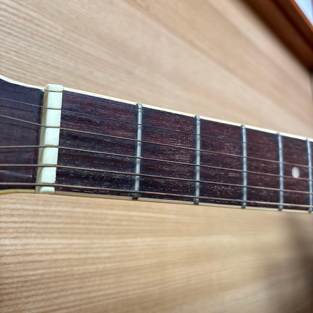 エレクトリック・アコースティックギター　Pro Martin EA500W VS