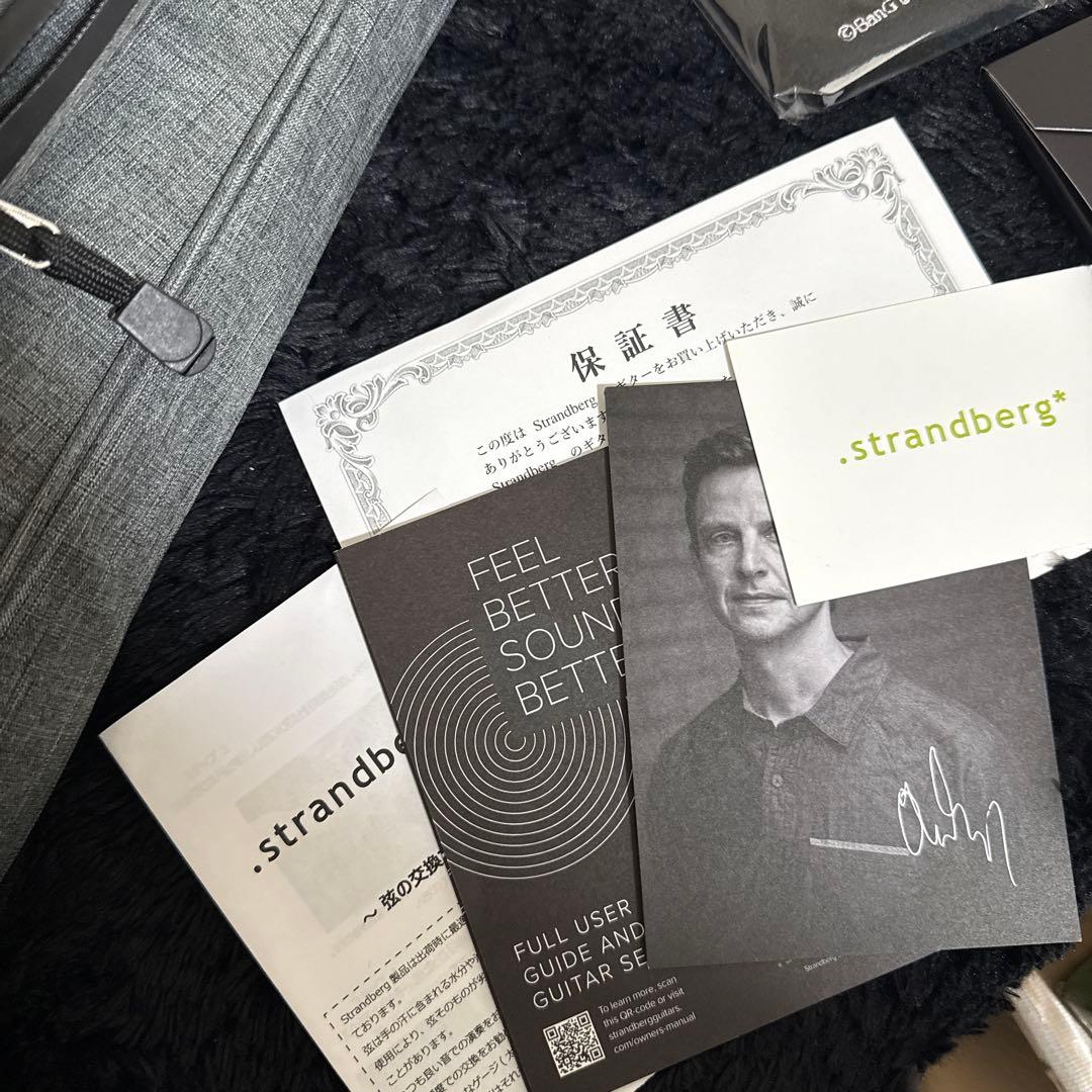 最終価格 Strandberg Boden RAS6 朝日六花モデル