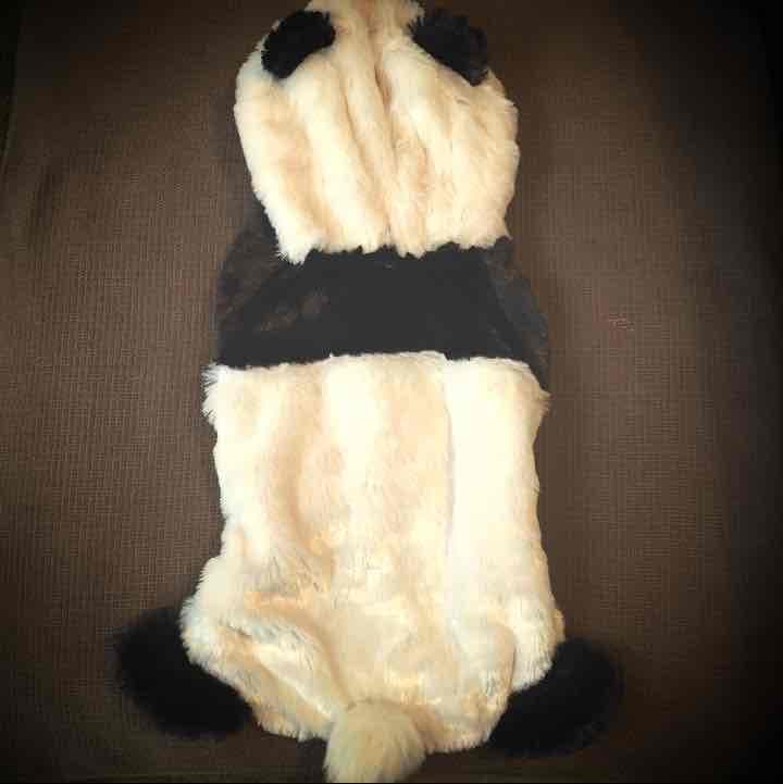 sold out ペットウェア