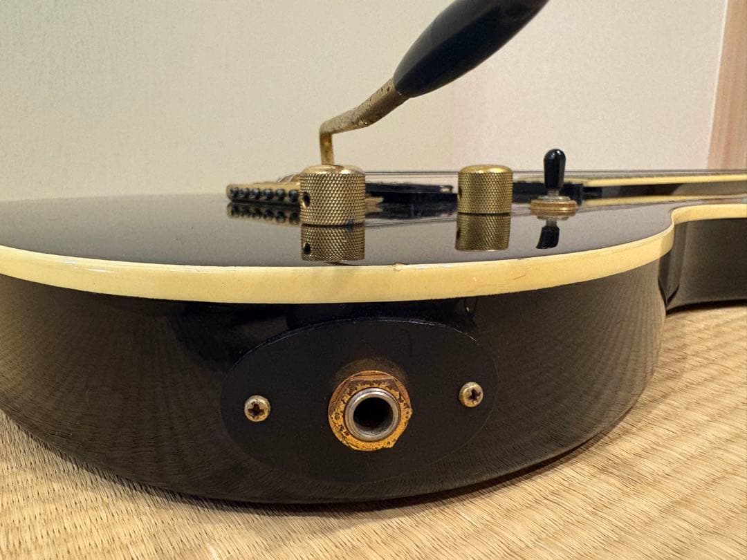 FERNANDES TEJ-55G リミテッドエディション