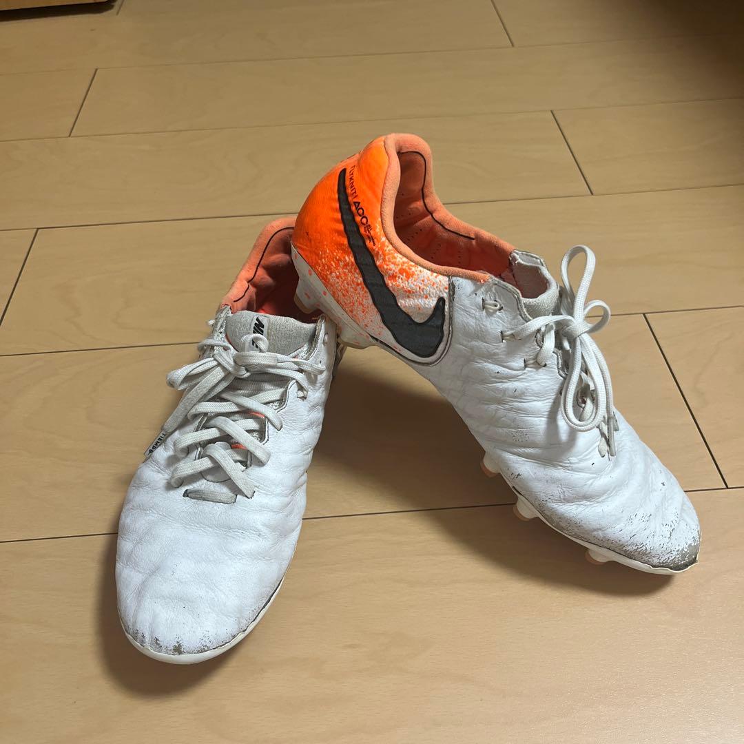 ティエンポレジェンド7 FG