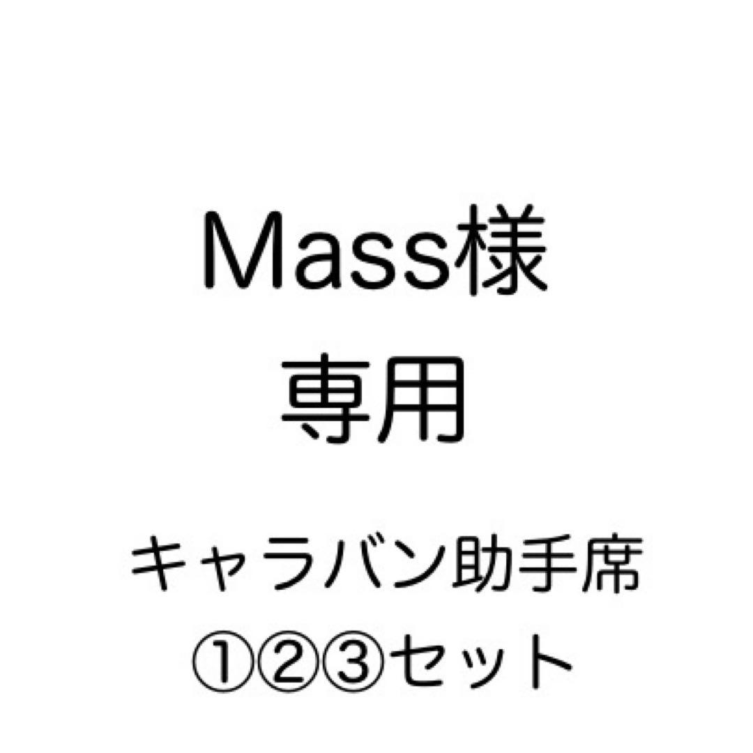 [専用出品]Mass