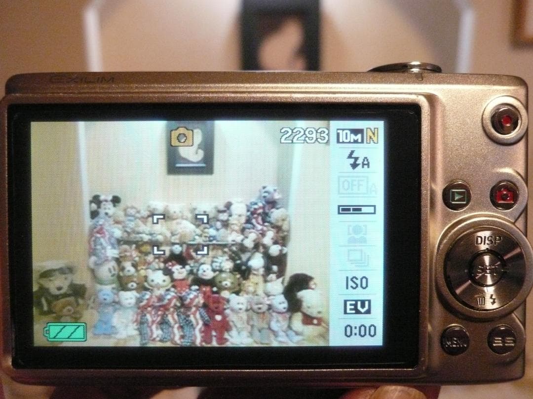 CASIO★EX-Z100⭕️安心の実働品❤️美しい★1010万画素★光学4倍