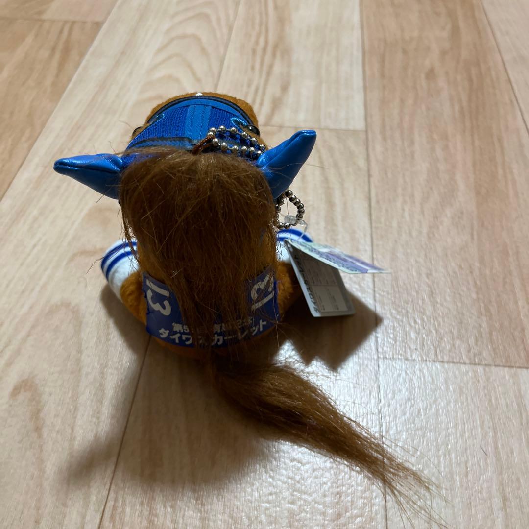 アイドルホースselection 第53回有馬記念　ダイワスカーレット