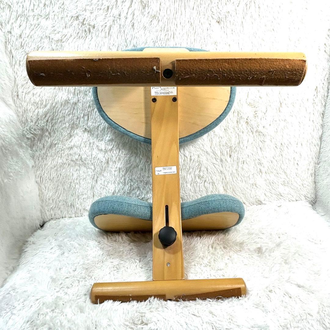 Rybo (サカモトハウス) リボ社 バランスイージー 姿勢矯正チェア