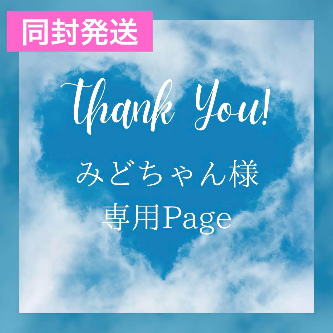 みどちゃん様＊専用　＊同封発送＊