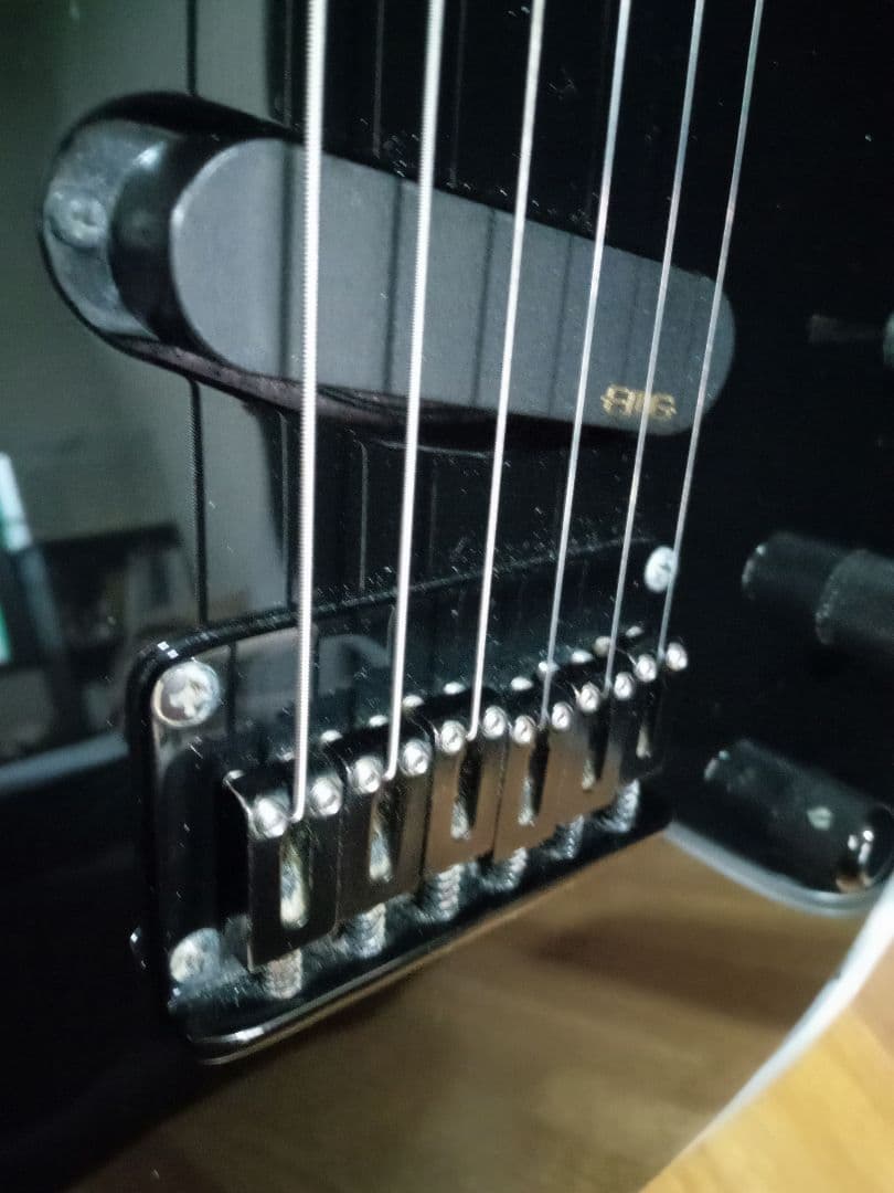 FERNANDES TEJ DELUXE 2S　純正ハードケース付き