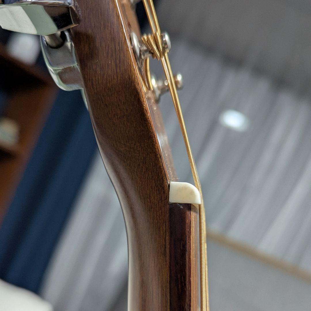 Morris MD~502 モーリス アコースティックギター