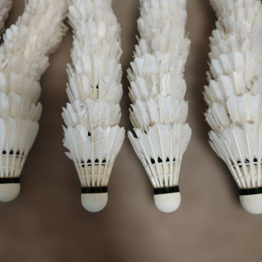 送料無料　yonex ノック用　シャトル　練習用　ヨネックス　基礎　400 5